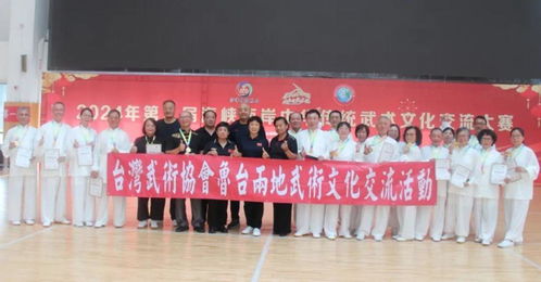 以武會友促交流 第九屆海峽兩岸中華傳統武術文化交流大賽圓滿收官